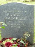 image number Baumbach Barbel  025